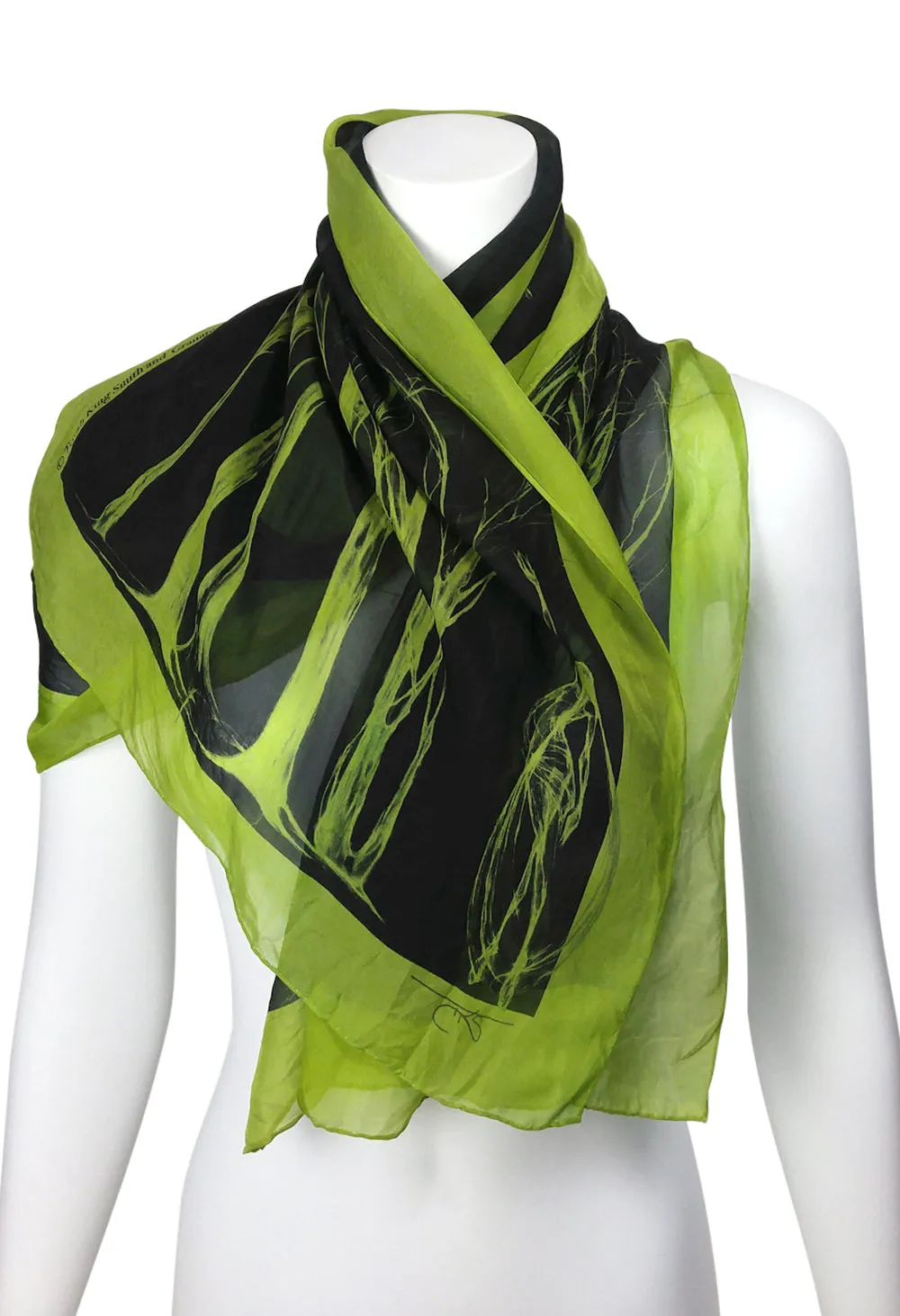 Égérie MUSE Forest Border Silk Scarf Light on Black, more colours