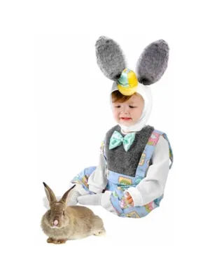 Toddler Boy Nursery Rhyme Bunny Costume